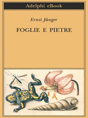 cover image of Foglie e pietre